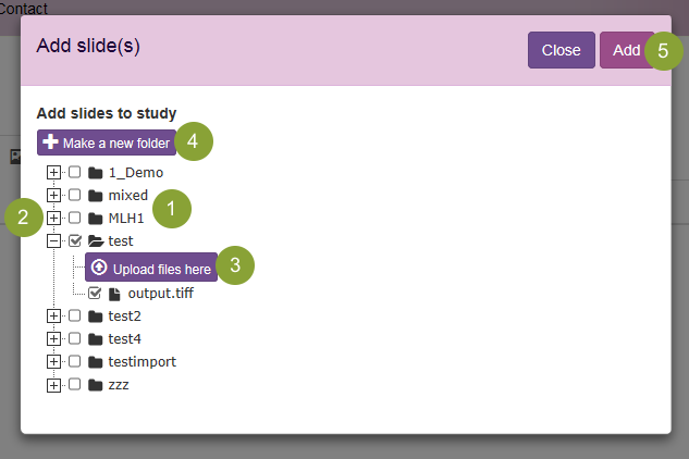 Add a Slide Add a Slide