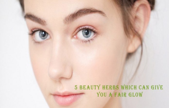 5 beauty herbs which can give you a fair glow