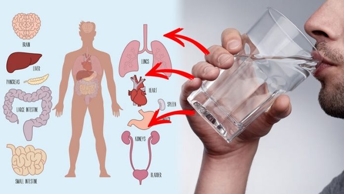 drinking water on an empty stomach